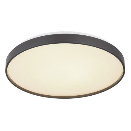 Globo - LED lubinis šviestuvas LED/24W/230V