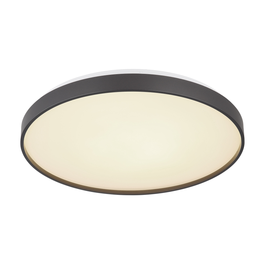 Globo - LED lubinis šviestuvas LED/24W/230V