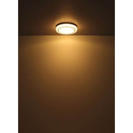 Globo - LED lubinis šviestuvas LED/24W/230V diametras 40 cm 3000K balta