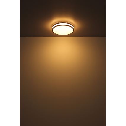 Globo - LED RGBW Reguliuojamas lubinis šviestuvas LED/18W/230V 2700-6000K + nuotolinio valdymo pultas