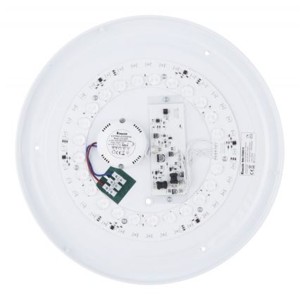 Globo - RGBW Reguliuojamas lubinis šviestuvas LED/24W/230V 3000-6500K+ nuotolinio valdymo pultas