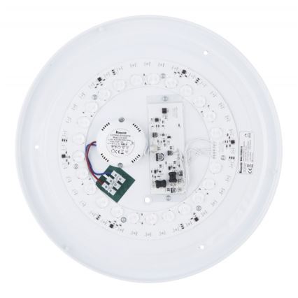 Globo - LED RGB pritemdomas lubinis šviestuvas LED/24W/230V + nuotolinio valdymo pultas