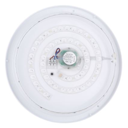 Globo - RGBW Reguliuojamas lubinis šviestuvas LED/18W/230V 2700-6500K + nuotolinio valdymo pultas