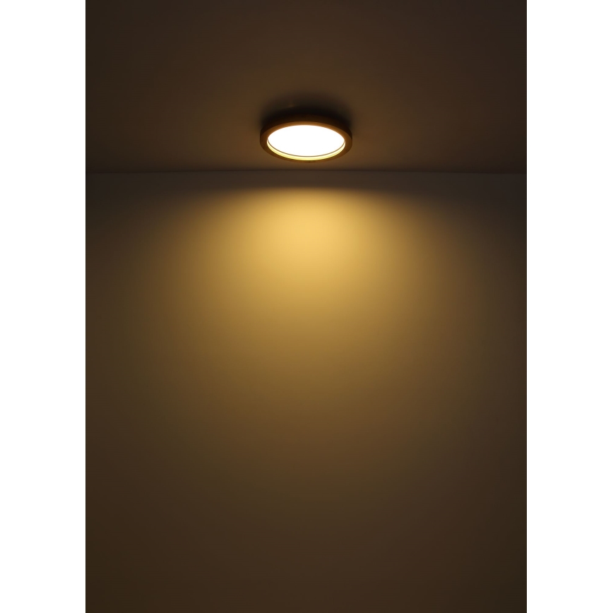 Globo - LED RGBW Reguliuojamas lubinis šviestuvas LED/24W/230V 2700-6000K + nuotolinio valdymo pultas