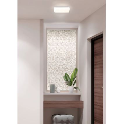 Globo - LED lubinis šviestuvas LED/12W/230V 3000/4200/6500K 28,5x13,5 cm