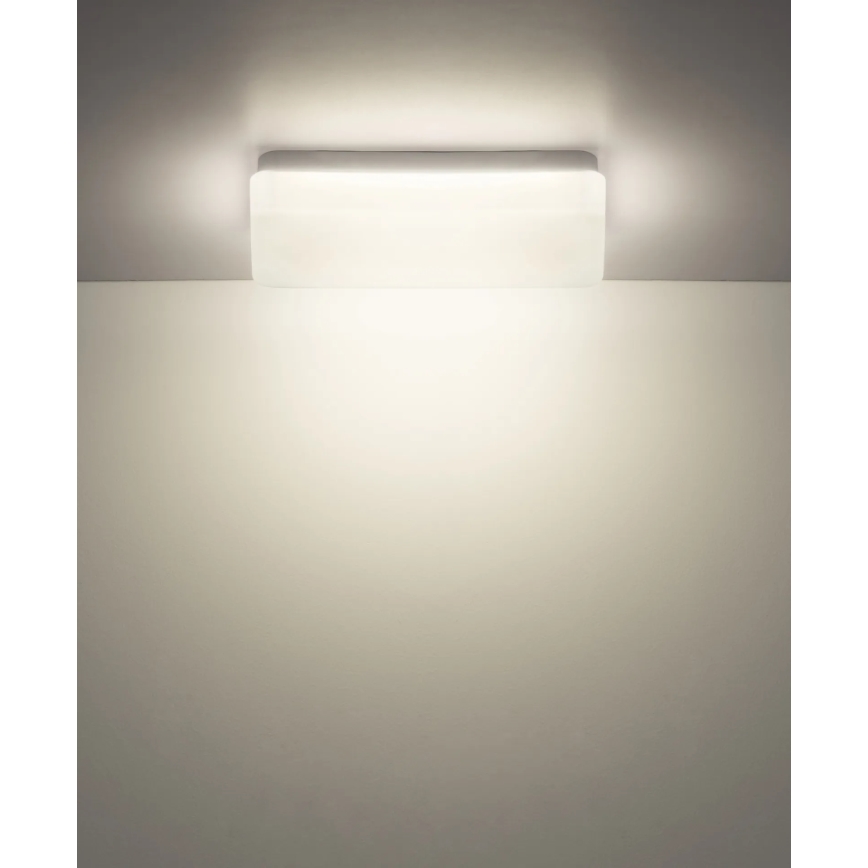 Globo - LED lubinis šviestuvas LED/12W/230V 3000/4200/6500K 28,5x13,5 cm