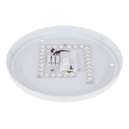 Globo - LED lubinis šviestuvas LED/12W/230V 3000/4200/6500K skersmuo 26 cm