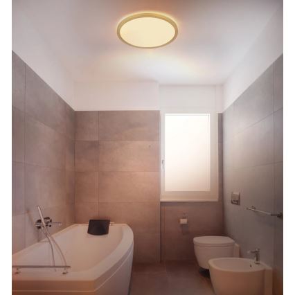 Globo - LED pritemdomas lubinis vonios šviestuvas LED/18W/230V 3000K IP44 diametras 29,4 cm žalvaris