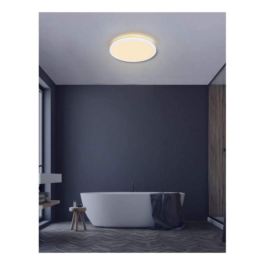 Globo - LED pritemdomas lubinis vonios šviestuvas LED/24W/230V diametras 42 cm IP44 balta