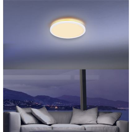 Globo - LED pritemdomas lubinis vonios šviestuvas LED/24W/230V diametras 42 cm IP44 balta