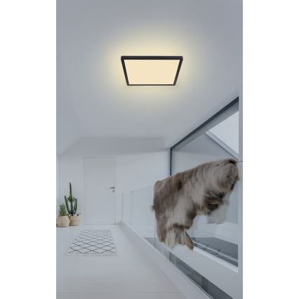 Globo - LED pritemdomas lubinis vonios šviestuvas LED/18W/230V 29,4x29,4 cm IP44 juoda