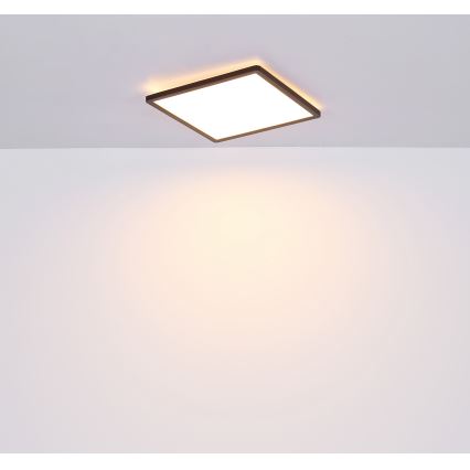 Globo - LED pritemdomas lubinis vonios šviestuvas LED/18W/230V 29,4x29,4 cm IP44 juoda