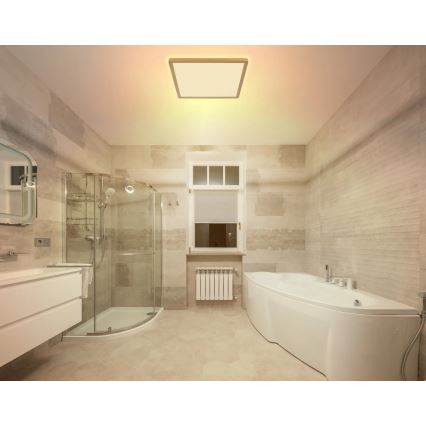 Globo - LED pritemdomas lubinis vonios šviestuvas LED/24W/230V 3000K IP44 42x42 cm žalvaris
