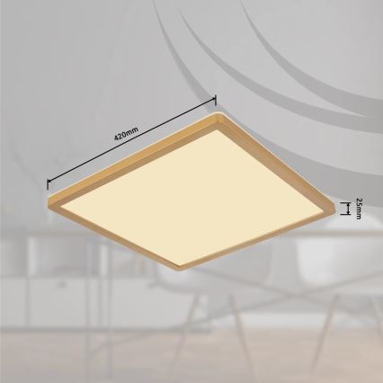 Globo - LED pritemdomas lubinis vonios šviestuvas LED/24W/230V 3000K IP44 42x42 cm žalvaris