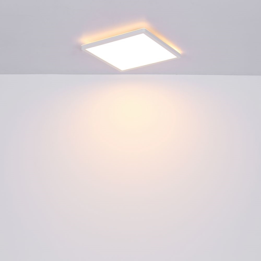 Globo - LED pritemdomas lubinis vonios šviestuvas LED/24W/230V 42x42 cm IP44 balta