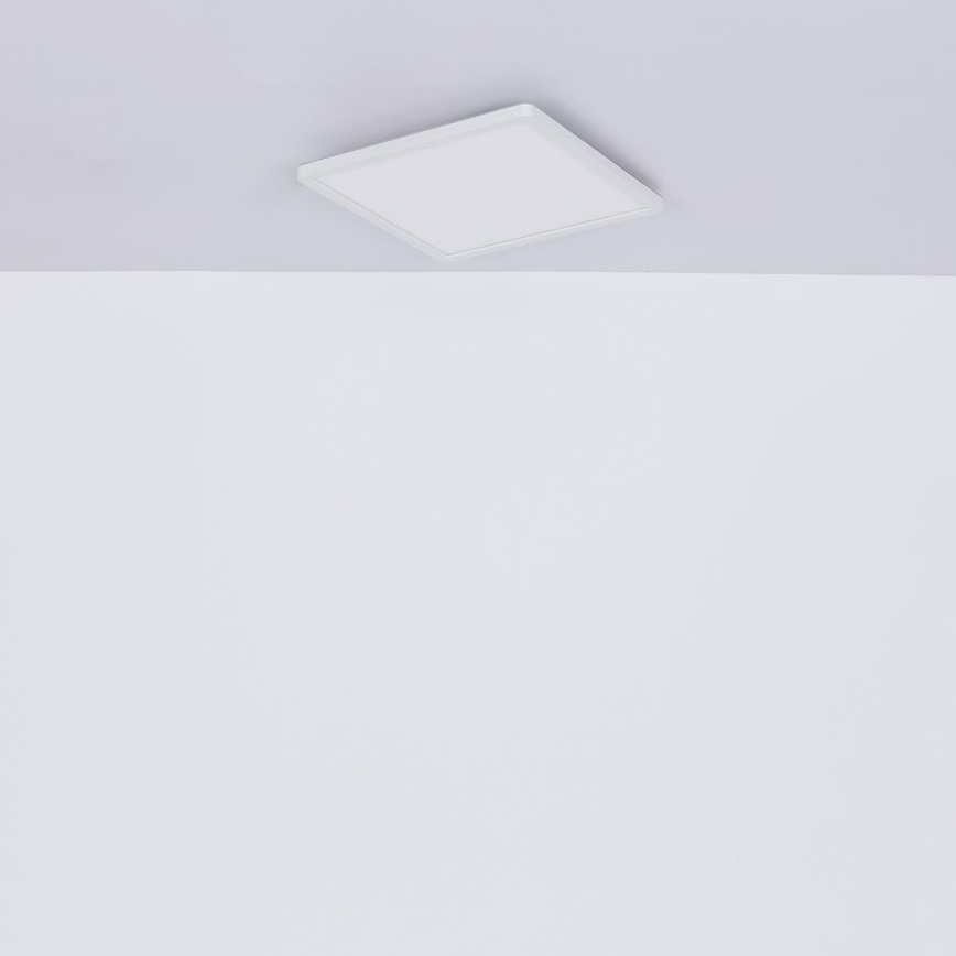 Globo - LED pritemdomas lubinis vonios šviestuvas LED/24W/230V 42x42 cm IP44 balta