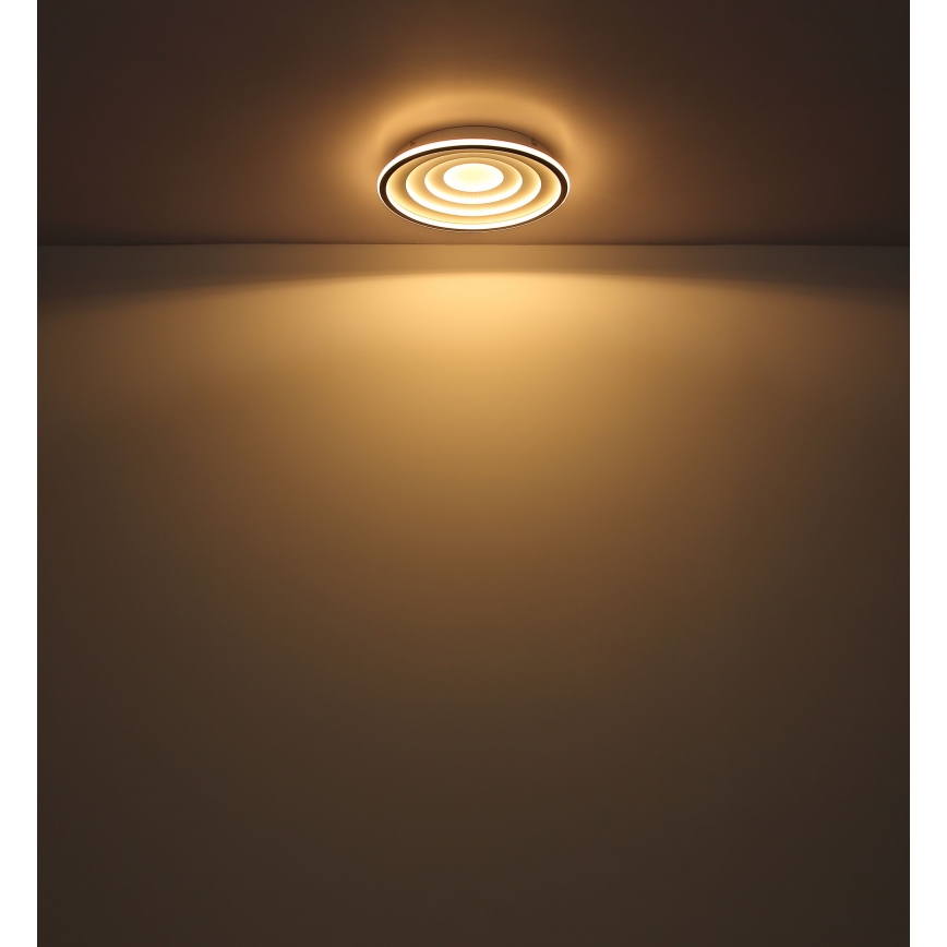 Globo - LED lubinis šviestuvas LED/24W/230V