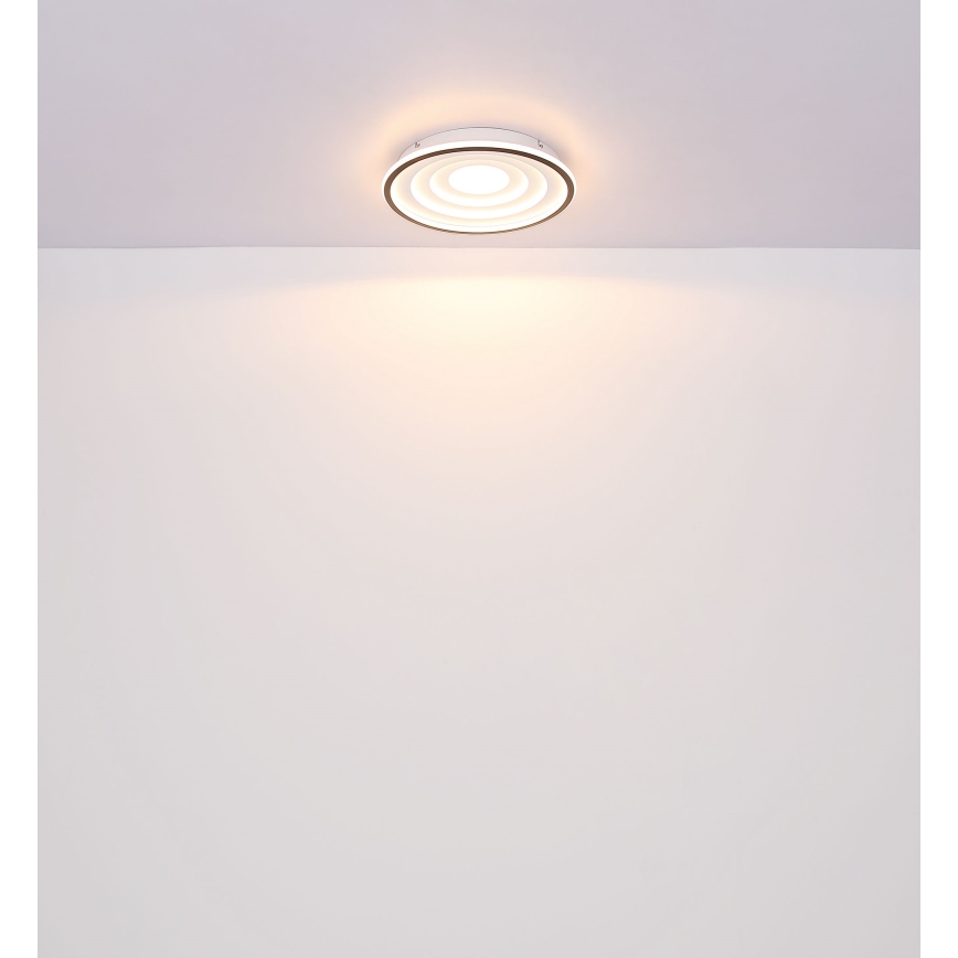 Globo - LED lubinis šviestuvas LED/24W/230V