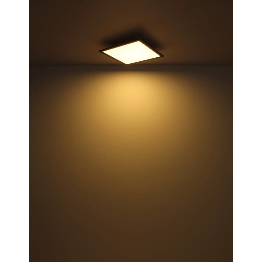 Globo - LED lubinis šviestuvas LED/24W/230V