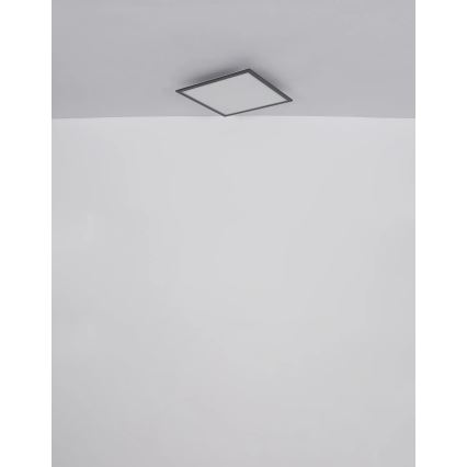Globo - LED lubinis šviestuvas LED/24W/230V