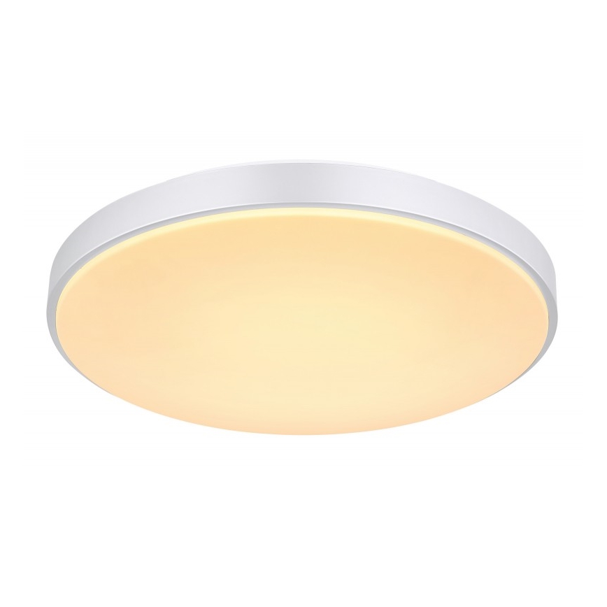 Globo - LED Pritemdomas lubinis šviestuvas LED/24W/230V + nuotolinio valdymo pultas