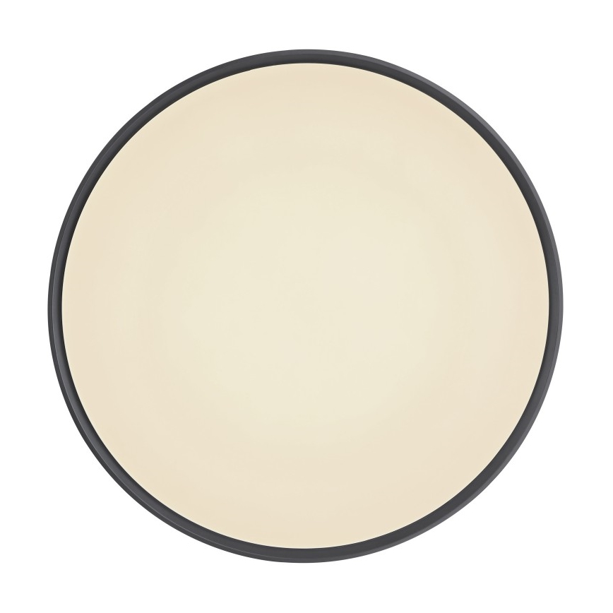 Globo - LED Pritemdomas lubinis šviestuvas LED/24W/230V + nuotolinio valdymo pultas