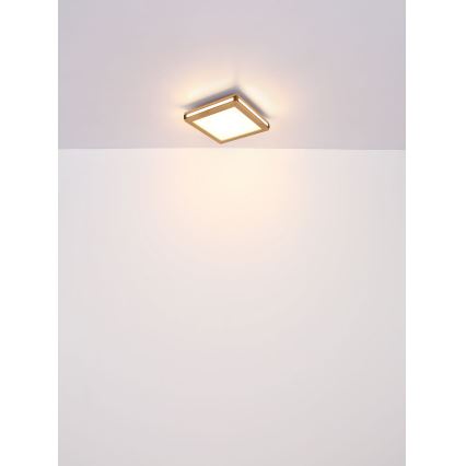 Globo - LED lubinis šviestuvas LED/12W/230V 30x30 cm
