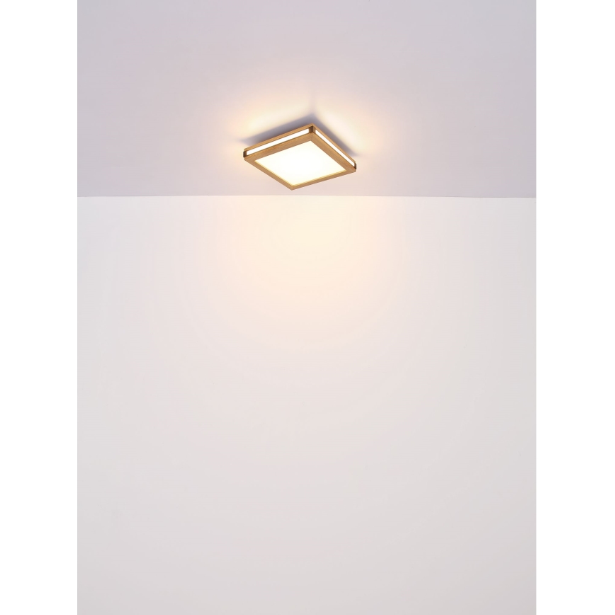 Globo - LED lubinis šviestuvas LED/12W/230V 30x30 cm