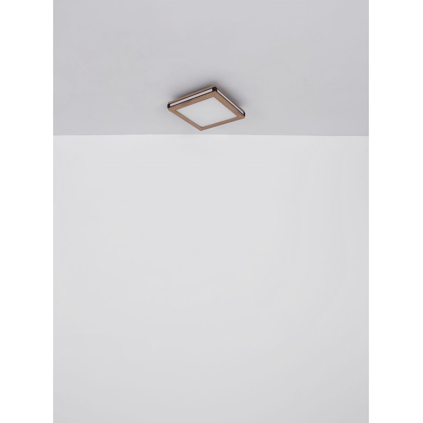 Globo - LED lubinis šviestuvas LED/12W/230V 30x30 cm