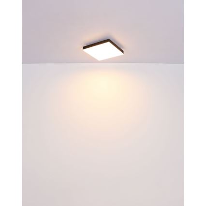 Globo - LED Pritemdomas lubinis šviestuvas LED/24W/230V 2700-6500K juoda + nuotolinio valdymo pultas