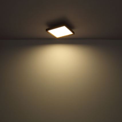 Globo - LED lubinis šviestuvas LED/12W/230V 2700/4500/6500K 30x30 cm