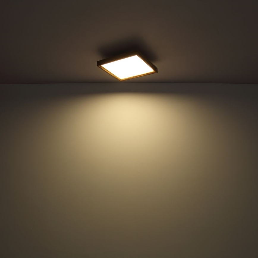 Globo - LED Lubinis šviestuvas LED/24W/230V 45cm 2700/4500/6500K