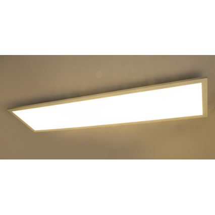 Globo - LED Ant paviršiaus montuojama panelė LED/40W/230V
