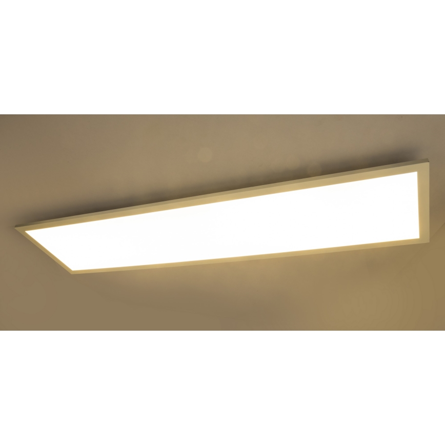 Globo - LED Ant paviršiaus montuojama panelė LED/40W/230V