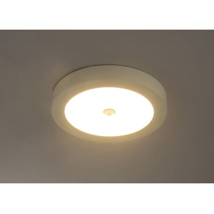 Globo - LED lauko lubinis šviestuvas su jutikliu LED/18W/230V IP44