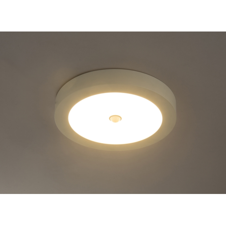 Globo 41605-18S - LED Lubinis lauko šviestuvas su jutikliu PAULA 1xLED/18W/230V