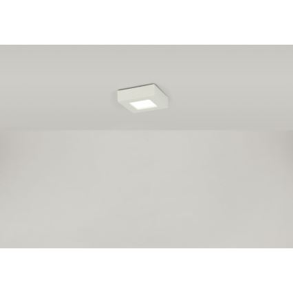 Globo - LED lubinis šviestuvas SVENJA 1xLED/9W/230V 3000/4000/6000K