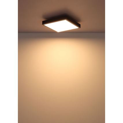 Globo - LED lubinis šviestuvas LED/12W/230V 3000K 30x30 cm