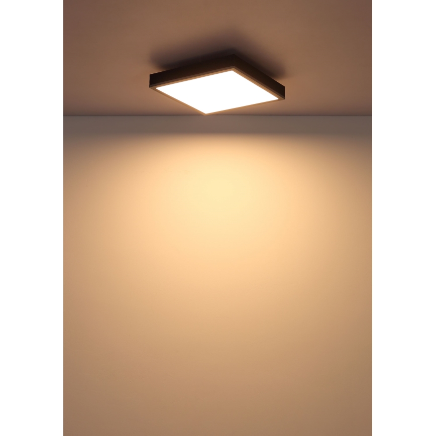 Globo - LED lubinis šviestuvas LED/12W/230V 3000K 30x30 cm