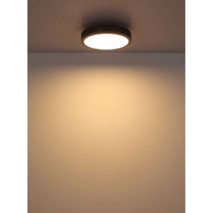 Globo - LED lubinis šviestuvas LED/12W/230V 3000K diametras 30 cm