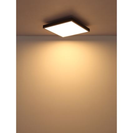 Globo - LED lubinis šviestuvas LED/24W/230V 3000K 45x45 cm