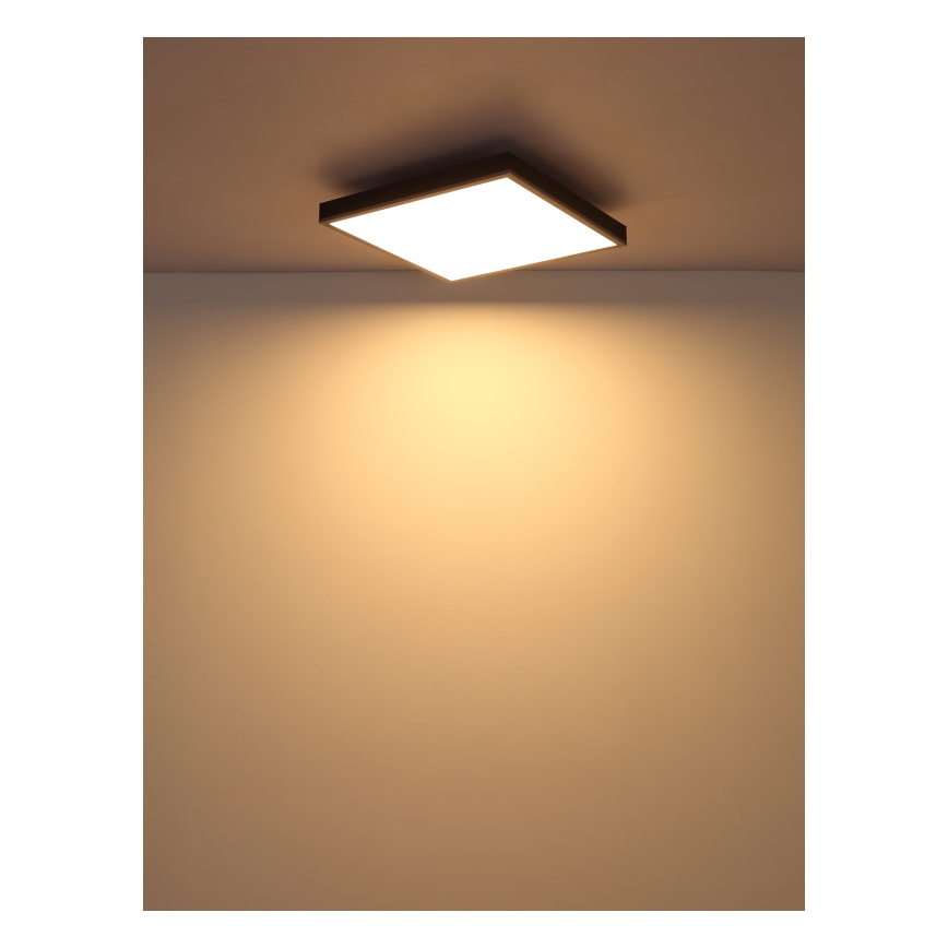 Globo - LED lubinis šviestuvas LED/24W/230V 3000K 45x45 cm