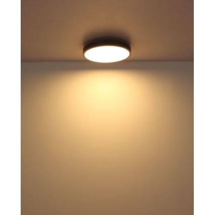 Globo - LED lubinis šviestuvas LED/24W/230V 3000K diametras 45 cm