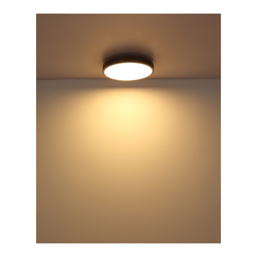 Globo - LED lubinis šviestuvas LED/24W/230V 3000K diametras 45 cm