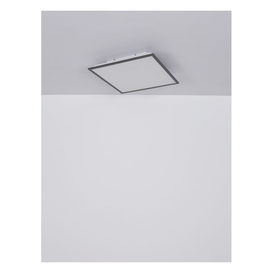 Globo - LED lubinis šviestuvas LED/24W/230V