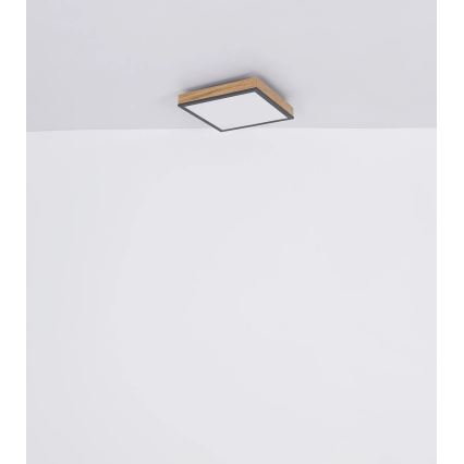 Globo - Dimeriuojamas LED lubinis šviestuvas LED/24W/230V 3000-6500K 45x45 cm