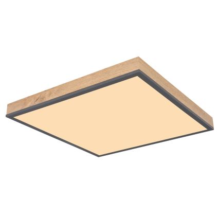Globo - Dimeriuojamas LED lubinis šviestuvas LED/24W/230V 3000-6500K 45x45 cm