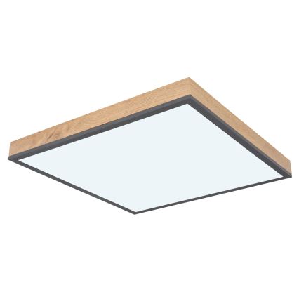 Globo - Dimeriuojamas LED lubinis šviestuvas LED/24W/230V 3000-6500K 45x45 cm