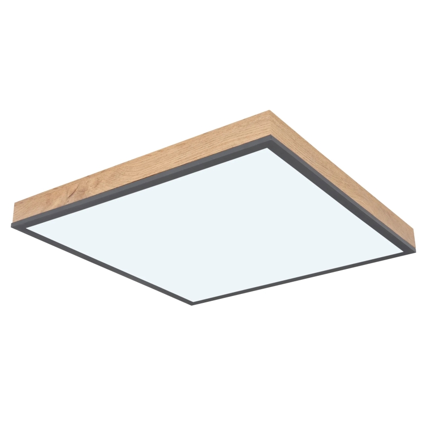 Globo - Dimeriuojamas LED lubinis šviestuvas LED/24W/230V 3000-6500K 45x45 cm