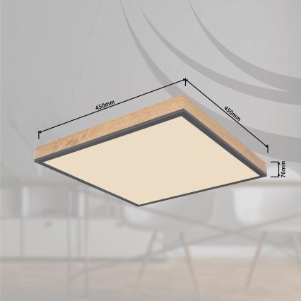 Globo - Dimeriuojamas LED lubinis šviestuvas LED/24W/230V 3000-6500K 45x45 cm